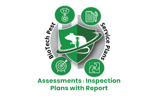 Assessments / Inspection Plans W / Report